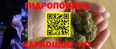 молекула духа Ижевск