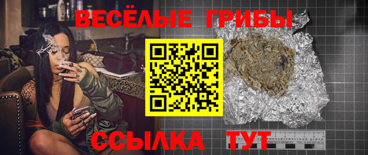 Псилоцибиновые грибы прущие грибы Псков